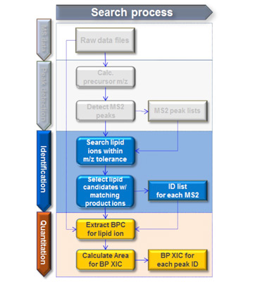 Lipidomics search process – Identification › Quantitation Lipidomics search process – Identification › Quantitation