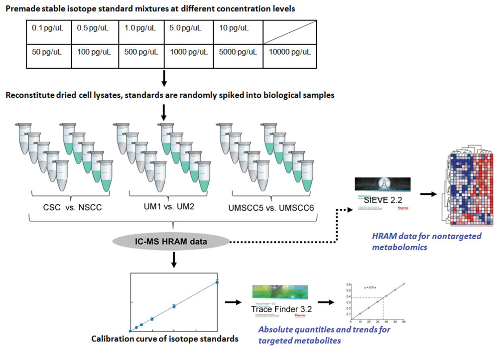 Cancer Metabolomics | Thermo Fisher Scientific - CN