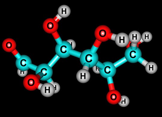 Energy metabolism – a study of the fate of glucose Energy metabolism – a study of the fate of glucose