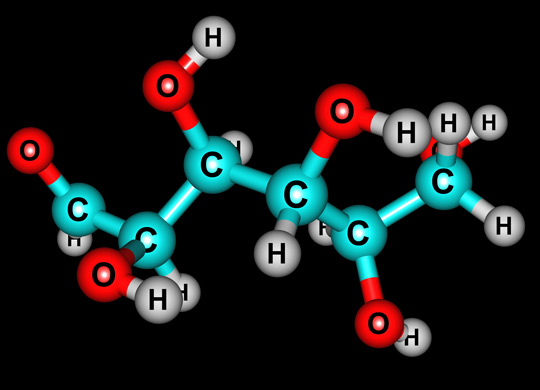 Energy metabolism – a study of the fate of glucose Energy metabolism – a study of the fate of glucose