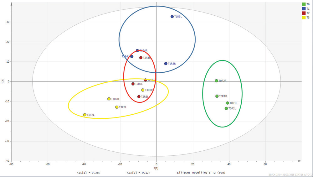Metabolomics Data Analysis | Thermo Fisher Scientific - CN