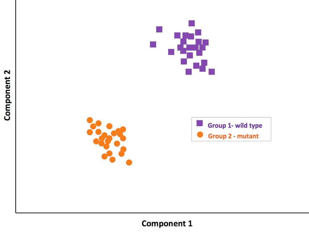 Metabolomics Data Analysis | Thermo Fisher Scientific - CN