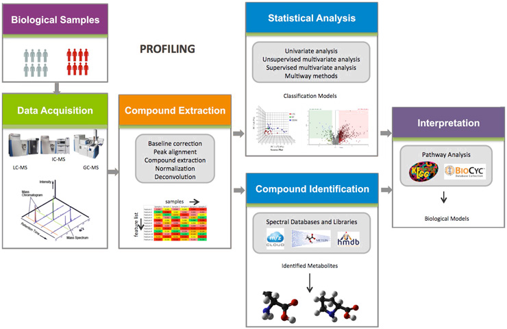 Untargeted Metabolomics Workflows | Thermo Fisher Scientific - CN