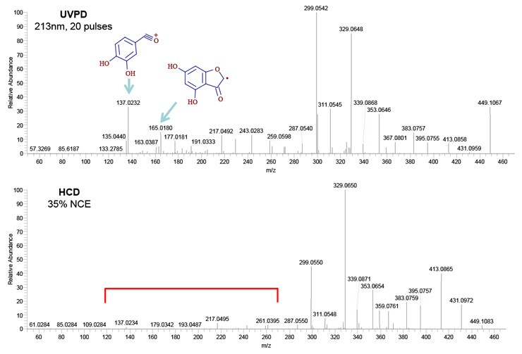 Figure 4. Fragmentation of luteolin 8-C-glycoside (Orientin) by UVPD and HCD produces more complete mass spectra and unique compound fragmentations. Figure 4. Fragmentation of luteolin 8-C-glycoside (Orientin) by UVPD and HCD produces more complete mass spectra and unique compound fragmentations.