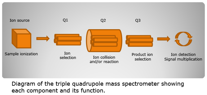 The benefits of triple quadrupole technology The benefits of triple quadrupole technology