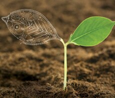 soil-quality-analysis-info-showcase-image-230x195 soil-quality-analysis-info-showcase-image-230x195