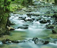 water-quality-analysis-info-showcase-image-230x195 water-quality-analysis-info-showcase-image-230x195