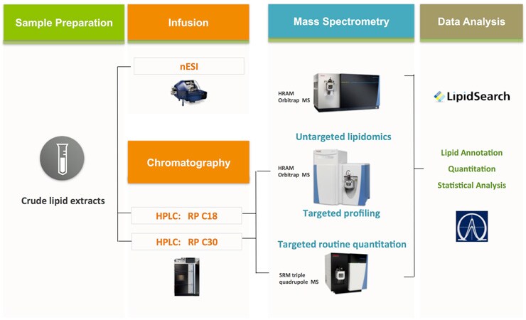 Lipidomics Solutions workflow Lipidomics Solutions workflow