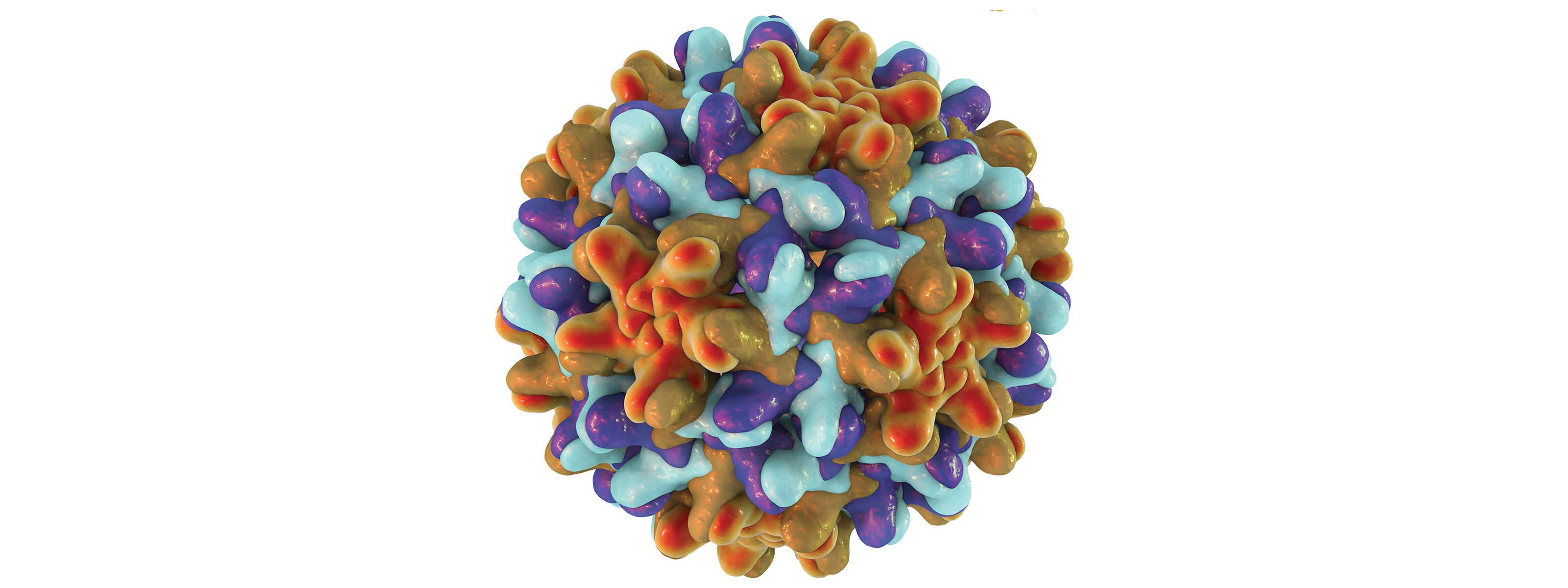 病毒研究 病毒研究