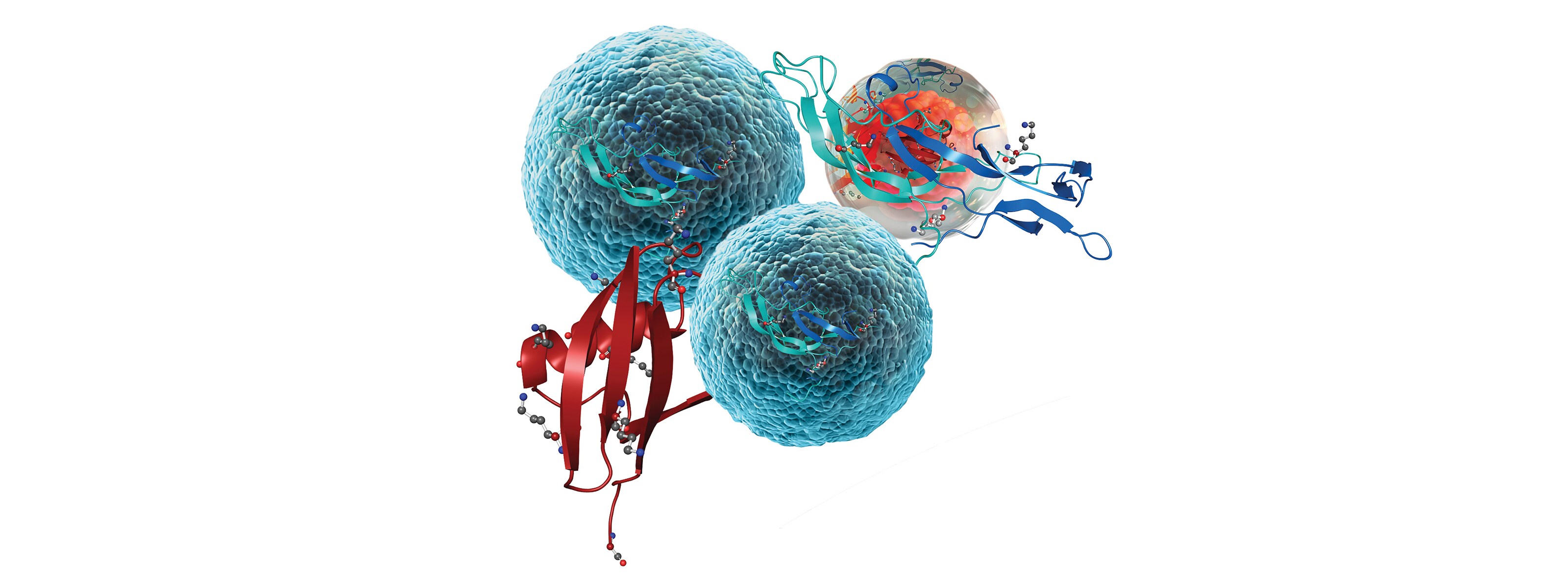 蛋白质组学质谱分析工作流程 蛋白质组学质谱分析工作流程