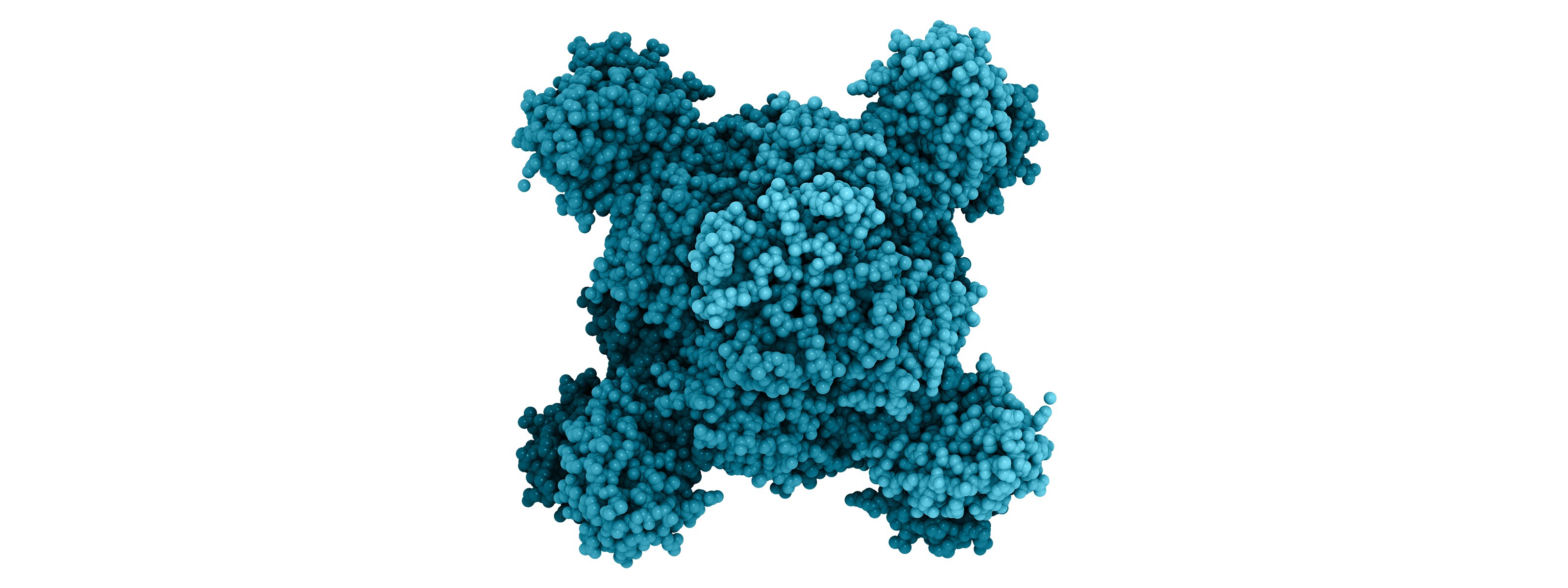 蛋白质结构分析 蛋白质结构分析