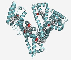 自上而下测序 自上而下测序