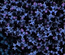 自下而上蛋白质组学 自下而上蛋白质组学