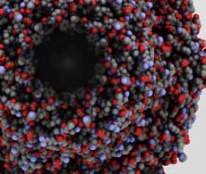 蛋白质组学质谱工作流程 蛋白质组学质谱工作流程