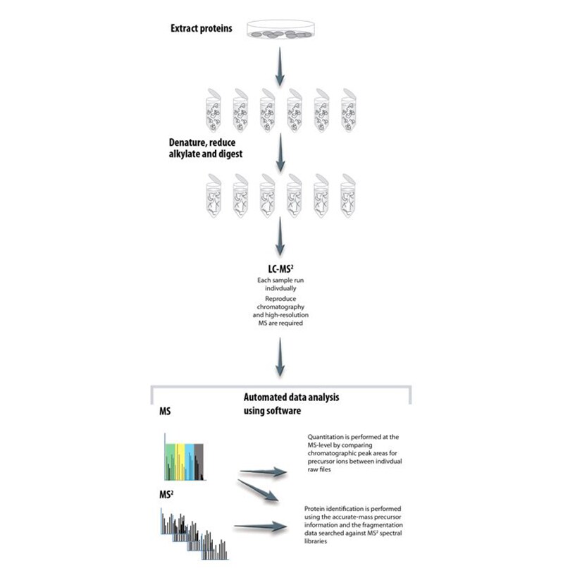 LFQ 非标记定量蛋白质组学数据非依赖分析(DIA) LFQ 非标记定量蛋白质组学数据非依赖分析(DIA)