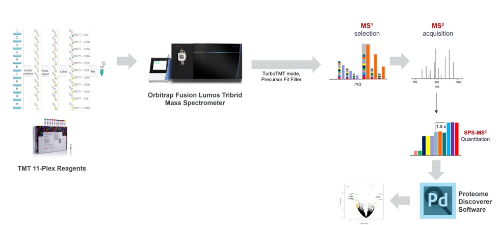TMT SPS MS3工作流程 TMT SPS MS3工作流程