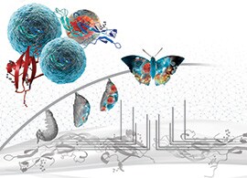 高通量多通路蛋白质定量分析 高通量多通路蛋白质定量分析