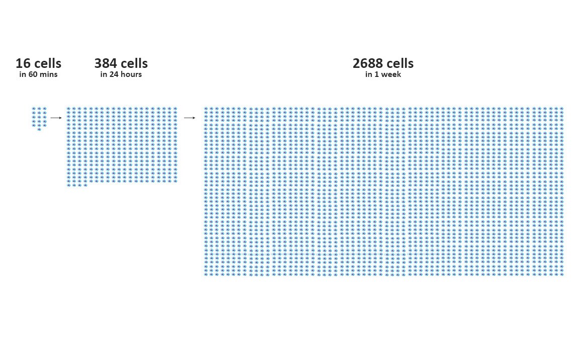 Thermo Scientific TMT multiplexing provides the highest throughput of any single-cell proteomics workflow along with high quantitative precision and accuracy Thermo Scientific TMT multiplexing provides the highest throughput of any single-cell proteomics workflow along with high quantitative precision and accuracy