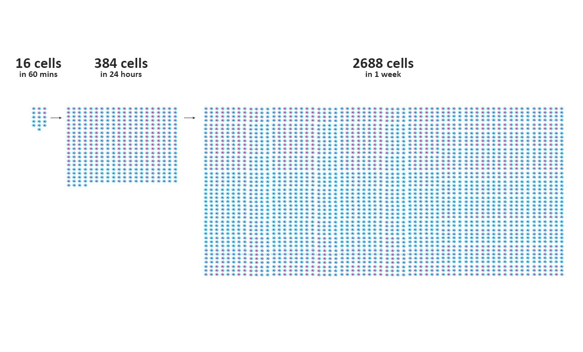 Thermo Scientific TMT multiplexing provides the highest throughput of any single-cell proteomics workflow along with high quantitative precision and accuracy Thermo Scientific TMT multiplexing provides the highest throughput of any single-cell proteomics workflow along with high quantitative precision and accuracy