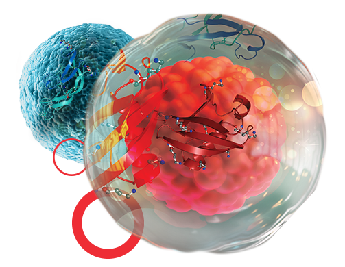Single-Cell Proteomics Single-Cell Proteomics