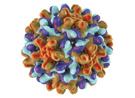 Viral Proteomics Metabolomics Mass Spectrometry Viral Proteomics Metabolomics Mass Spectrometry