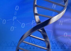 微生物的分子诊断和定量 微生物的分子诊断和定量