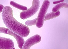 Culture microbiology reviews Culture microbiology reviews