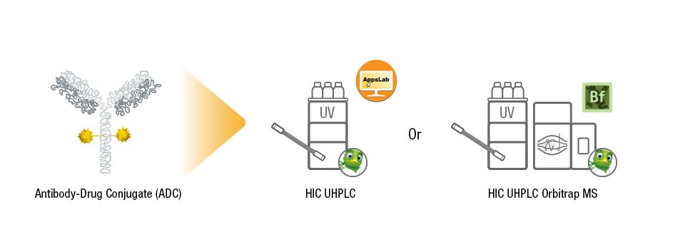 Drug antibody ratio workflow Drug antibody ratio workflow