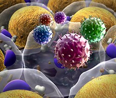 Host Cell Protein Analysis Host Cell Protein Analysis