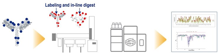 Hydrogen deuterium exchange (HDX) workflow Hydrogen deuterium exchange (HDX) workflow