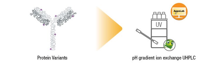 Charge variant profiling workflow Charge variant profiling workflow