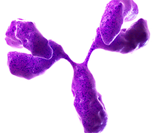 BiopharmaceuticalCharactarization230x195 BiopharmaceuticalCharactarization230x195