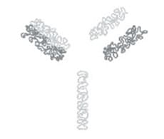 Subunit middle-down analysis Subunit middle-down analysis