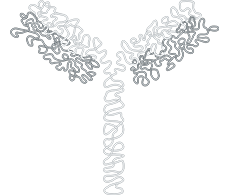 滴度(亲和)分析 滴度(亲和)分析