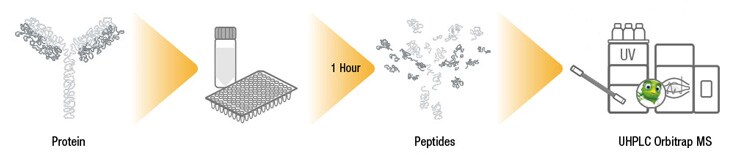 Mass Spectrometry in Biopharma QC workflow Mass Spectrometry in Biopharma QC workflow