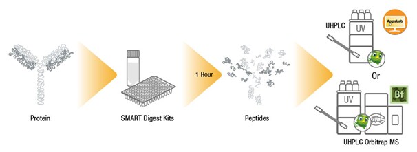 Peptide mapping workflow Peptide mapping workflow