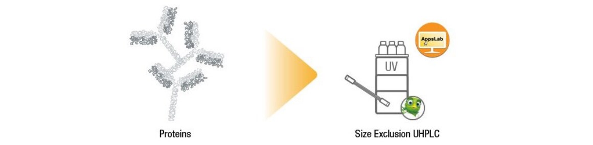 Protein Aggregate Analysis Protein Aggregate Analysis