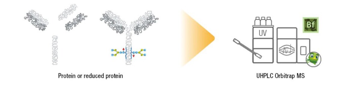 Intact Mass Analysis Intact Mass Analysis