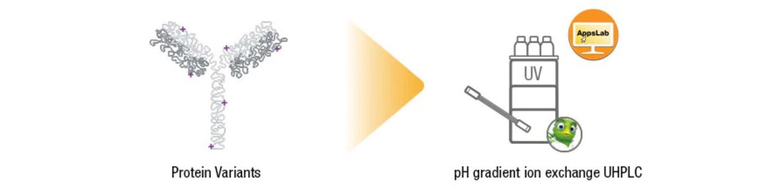 Robust Charge Variant Profiling Robust Charge Variant Profiling
