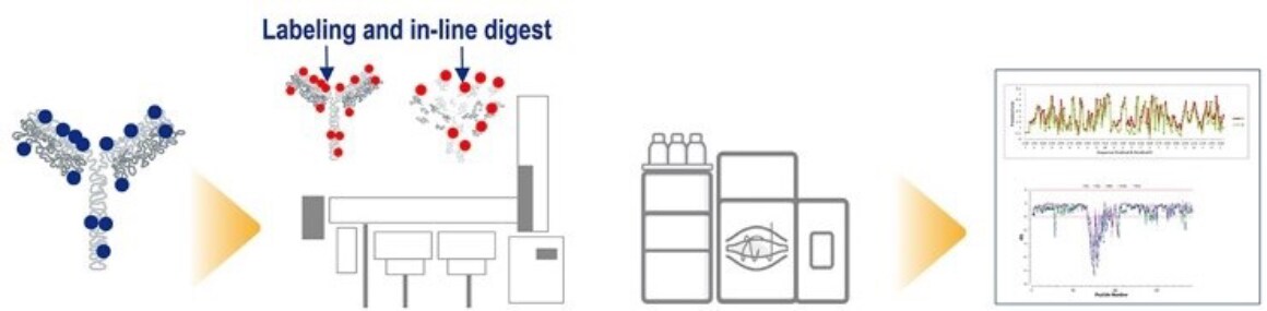Hydrogen Deuterium Exchange (HDX) Hydrogen Deuterium Exchange (HDX)