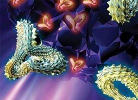 protein-drug-complete-molecular-weight-0 protein-drug-complete-molecular-weight-0