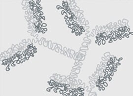 protein-drug-dimer-analysis-1 protein-drug-dimer-analysis-1