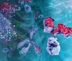 肽图分析 肽图分析