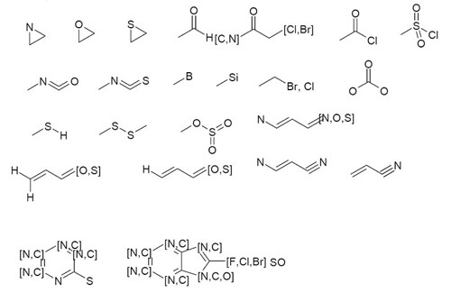 Examples of chemical structures excluded from Maybridge Screening Collection Examples of chemical structures excluded from Maybridge Screening Collection
