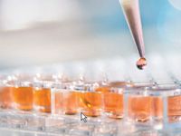 showcase.par.94353.image.0.0.1 showcase.par.94353.image.0.0.1