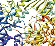 sho-kinase-proteins-s007223 kinase