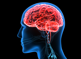 CNS disorders research Central Nervous System (CNS) Disorders Research Kinases