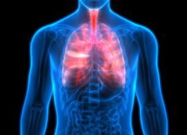 Respiratory disease research Respiratory Disease Research Kinases