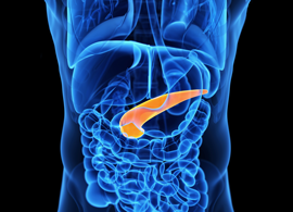 Metabolic disorders research Metabolic Disorders Research Kinases