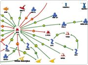 showcase.par.49666.image.0.0.1 Showcase Pathway Biology